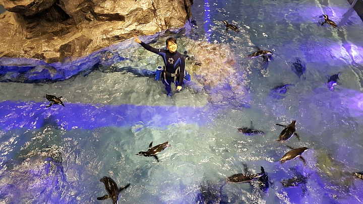 NOTE 4 旅遊東京 賞櫻 照片分享 (圖多)