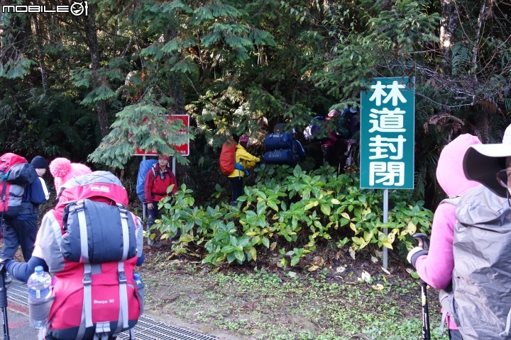 尋訪水漾森林