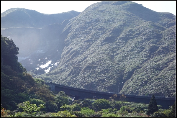 2015.03.29【單車遊記】浪漫花田海芋之旅