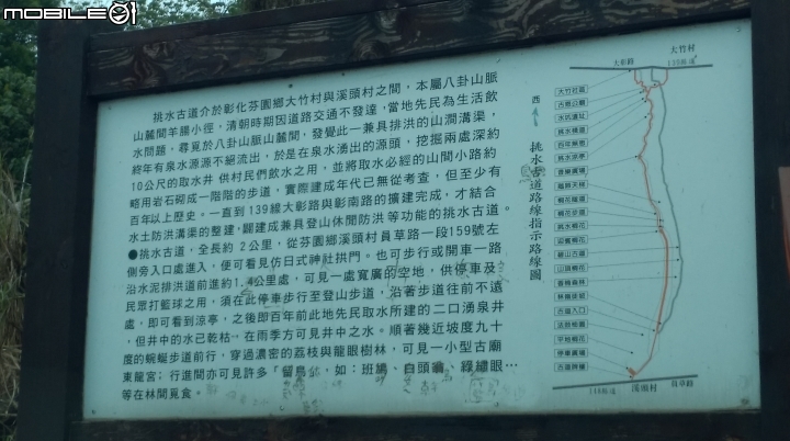 (彰化)台139線.挑水古道賞桐花遊(50P)