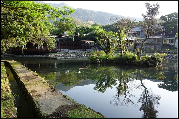 2015.03.29【單車遊記】浪漫花田海芋之旅