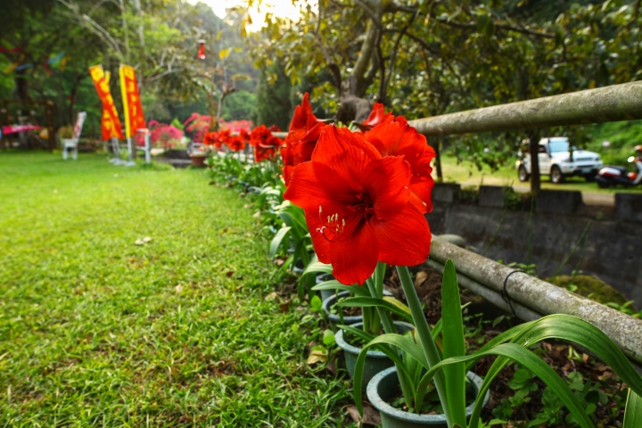【蓋大樓】Sigma 24mm F1.4 DG HSM Art for CANON大家來蓋樓吧!