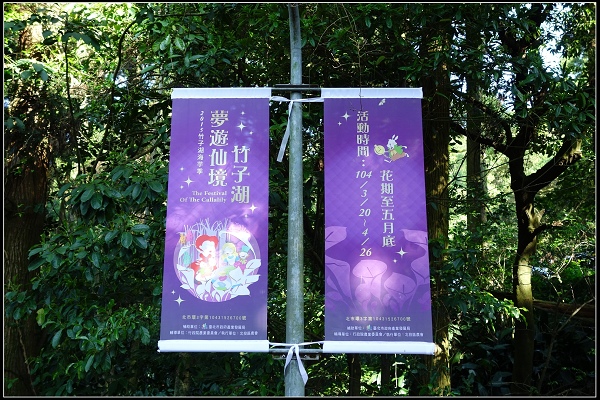 2015.03.29【單車遊記】浪漫花田海芋之旅