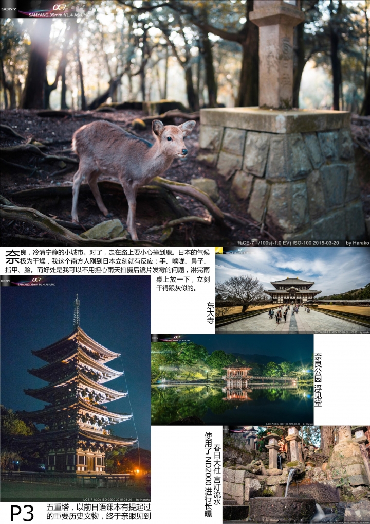 東瀛十四日暴走遊記
