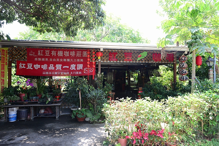 大樹有機鳳梨、玉荷包，還可以到紅豆咖啡喝大樹產的咖啡哦！