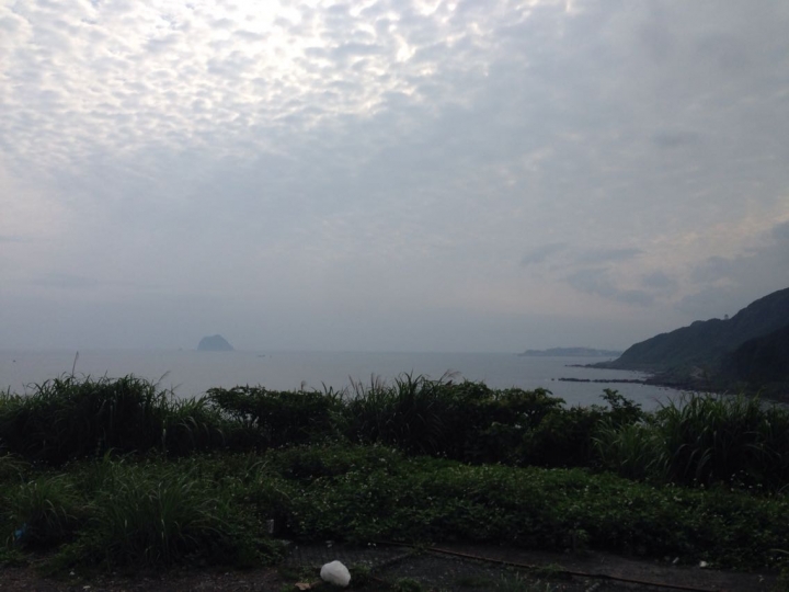 一個匆匆的決定.      (圖多文長)