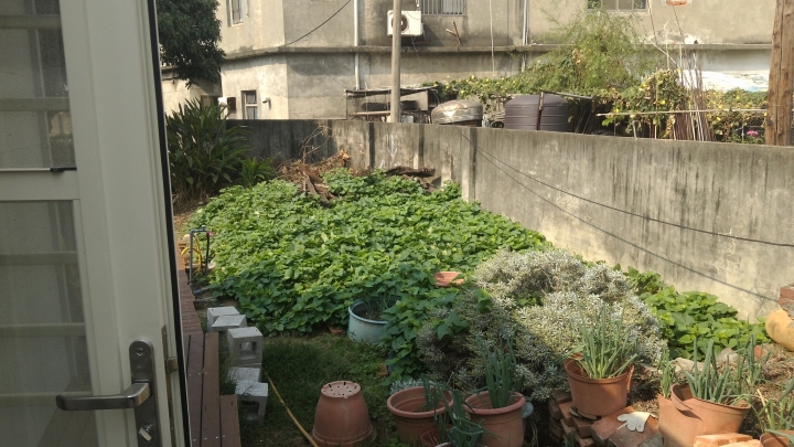開箱-分享.蓋給爸媽.出國回來的度假小屋(在開一次)