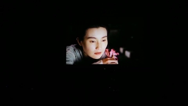 <<Blu-ray 小短評: 東邪西毒(1994 王家衛的電影)>>
