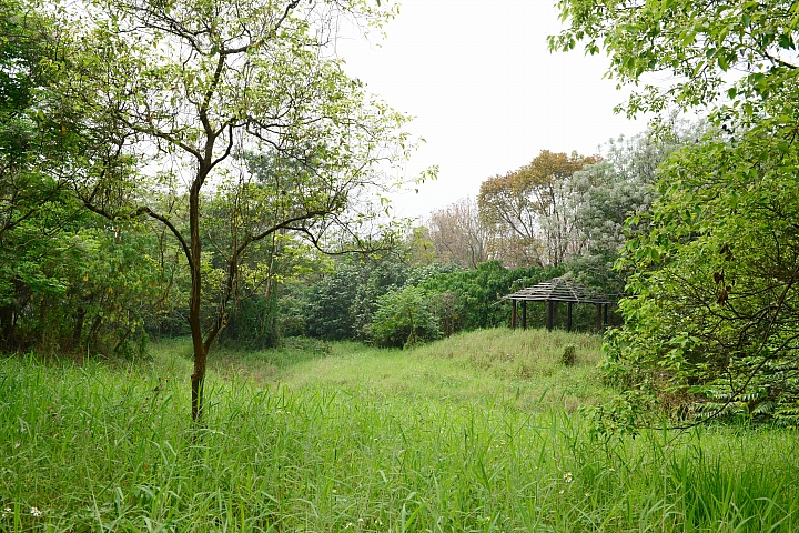 新埤鄉建功森林親水公園