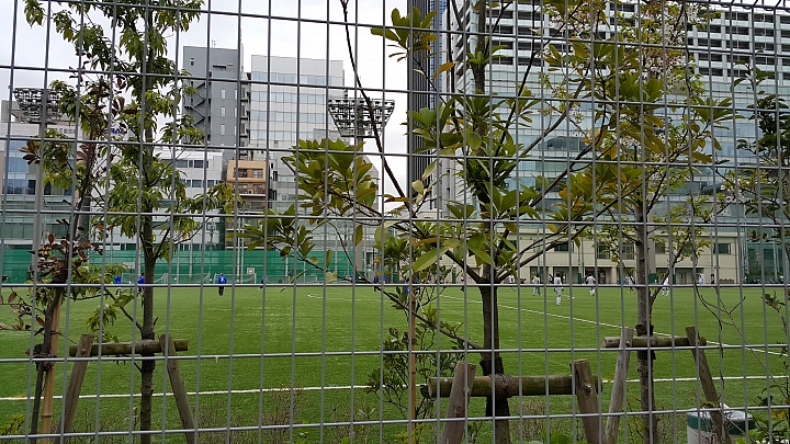 NOTE 4 旅遊東京 賞櫻 照片分享 (圖多)