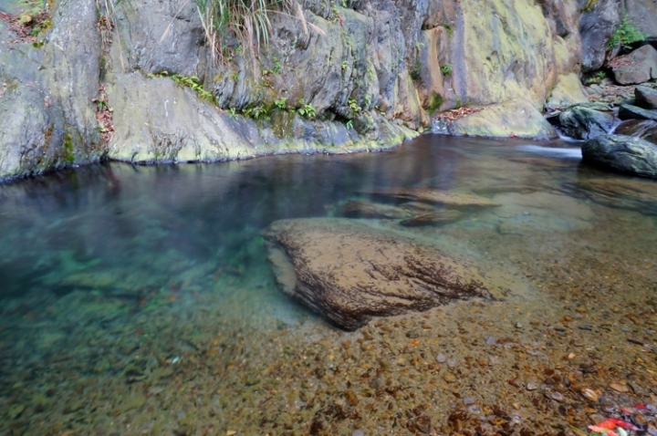 ▌新竹五峰‧旅遊景點 ▌十分鐘的美景【觀霧爺巴勘溪】