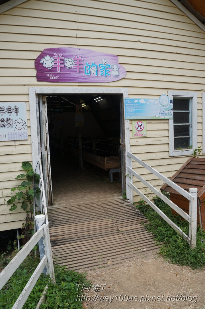 [桃園] 綠光森林