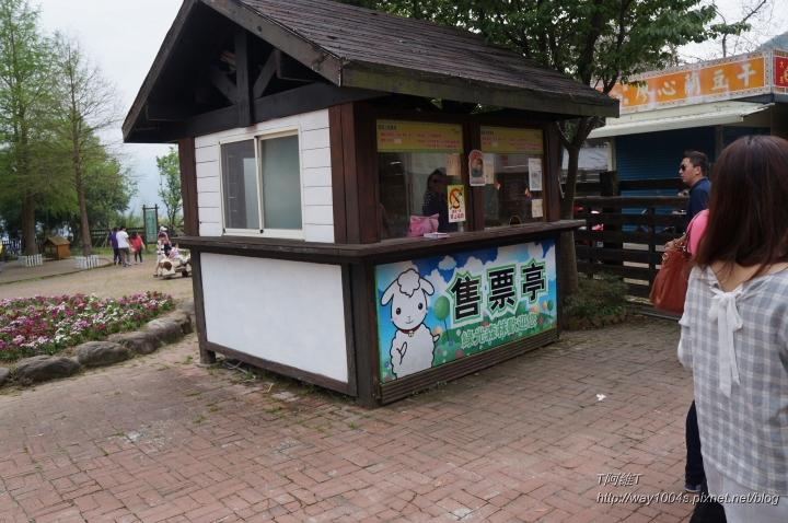 [桃園] 綠光森林