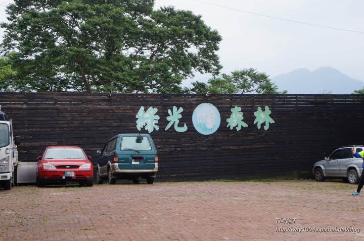 [桃園] 綠光森林