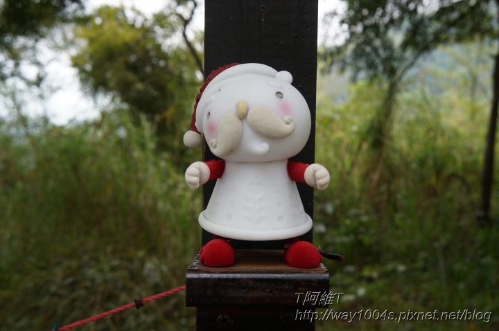 [桃園] 綠光森林