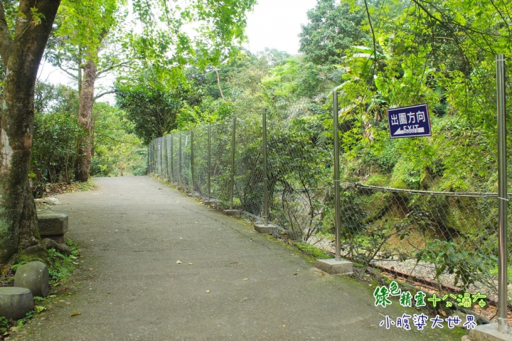 【台北景點】綠色精靈〃十分瀑布（不用門票）小健行的愜意生活。