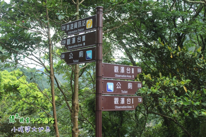 【台北景點】綠色精靈〃十分瀑布（不用門票）小健行的愜意生活。