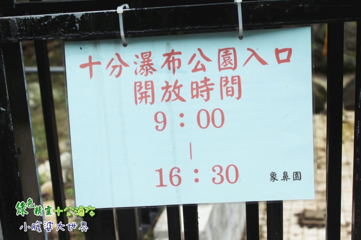 【台北景點】綠色精靈〃十分瀑布（不用門票）小健行的愜意生活。