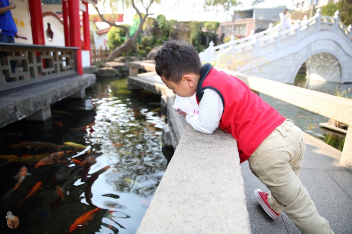 [桃園]山中樂園-壽山巖觀音寺  by蛋拔