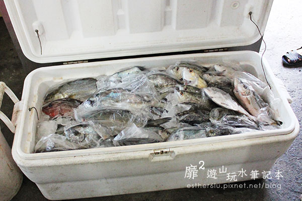 宜蘭南澳~鄉味津海產餐廳便宜海鮮大餐