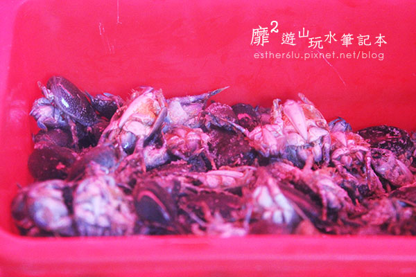宜蘭南澳~鄉味津海產餐廳便宜海鮮大餐