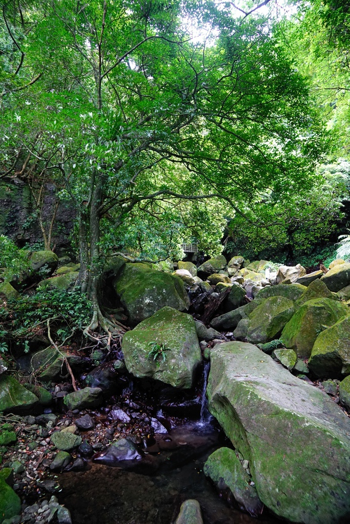 ▌新北石門‧旅遊景點 ▌台北近郊的熱門消暑勝地【青山瀑布】