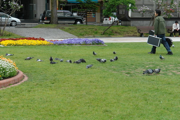 北海道(五)札幌