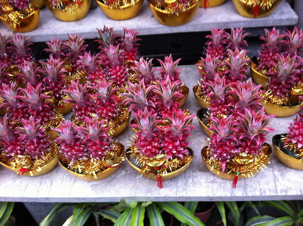 明奇麻花故事館--田尾