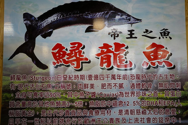 沙里仙鱘龍魚餐廳