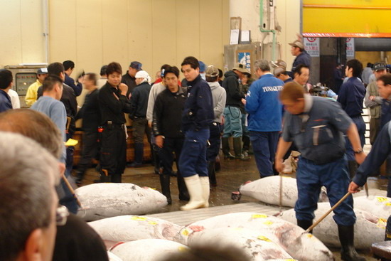 2008東京餐飲考察(二)築地&喜代村壽司