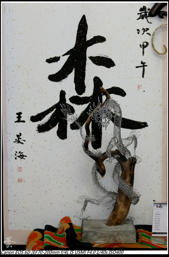 [台南]林百貨(這是在台南,不是在台中)  by蛋拔
