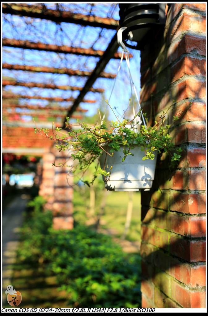 [桃園]親子、寵物餐廳-老爸的後花園  by蛋拔