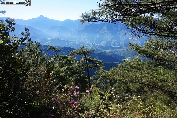 2015.05.18-志佳陽大山(天氣優.悠.呦)