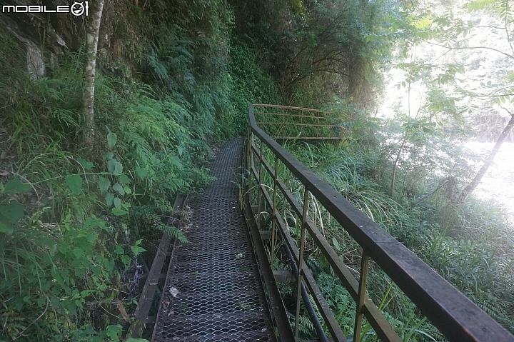 2015.05.18-志佳陽大山(天氣優.悠.呦)