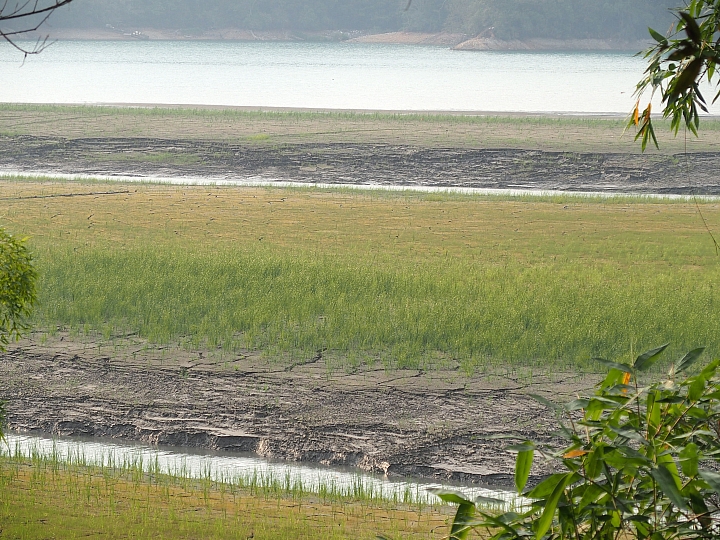 直昇機汲取9蛙附近日月潭湖水，以撲滅南化森林火災。