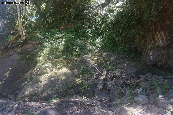 2015.05.18-志佳陽大山(天氣優.悠.呦)