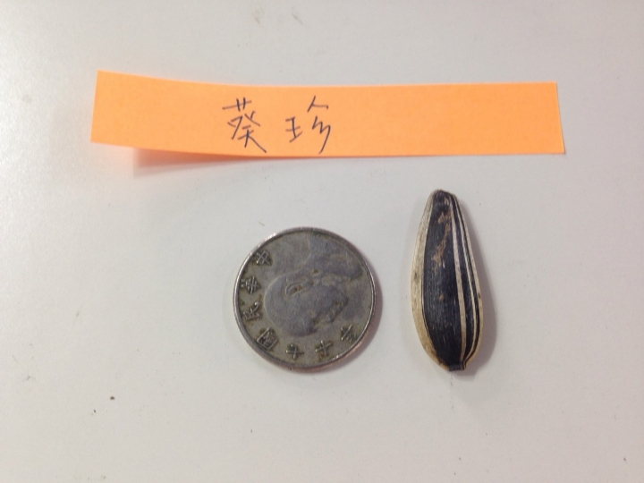 泡茶嗑瓜子大亂鬥之不負責任評比