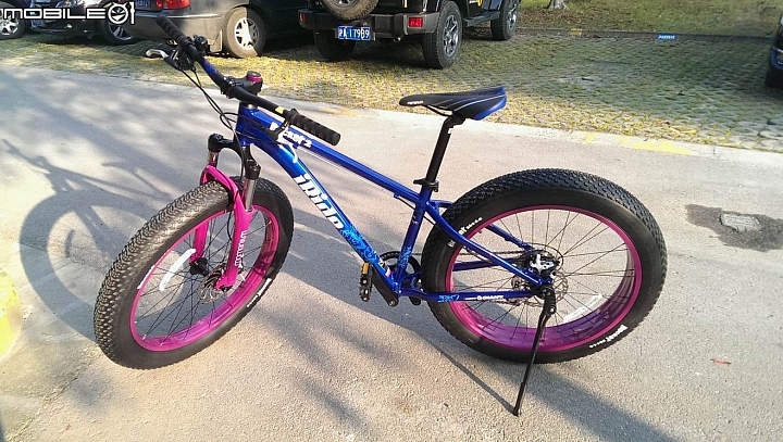 GIANT Momentum iRide Rocker 2 開箱