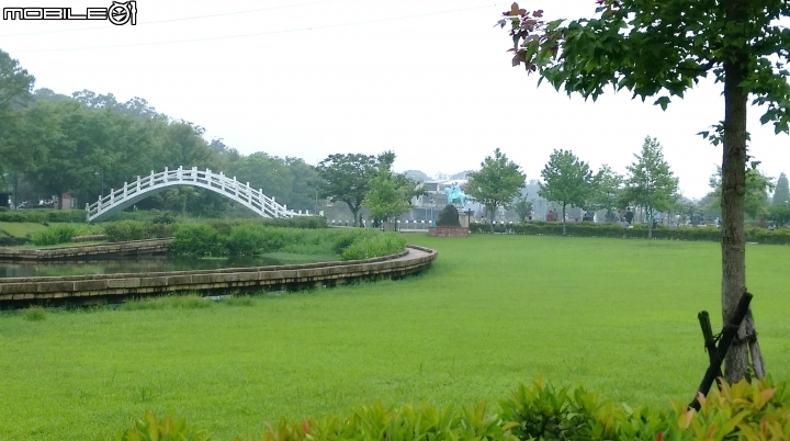 桃園阿姆坪.慈湖散步遊