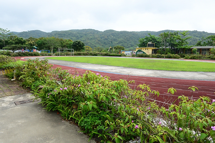 高士國小野牡丹花盛開，歡迎您住宿，一早醒來展開美麗的一天。