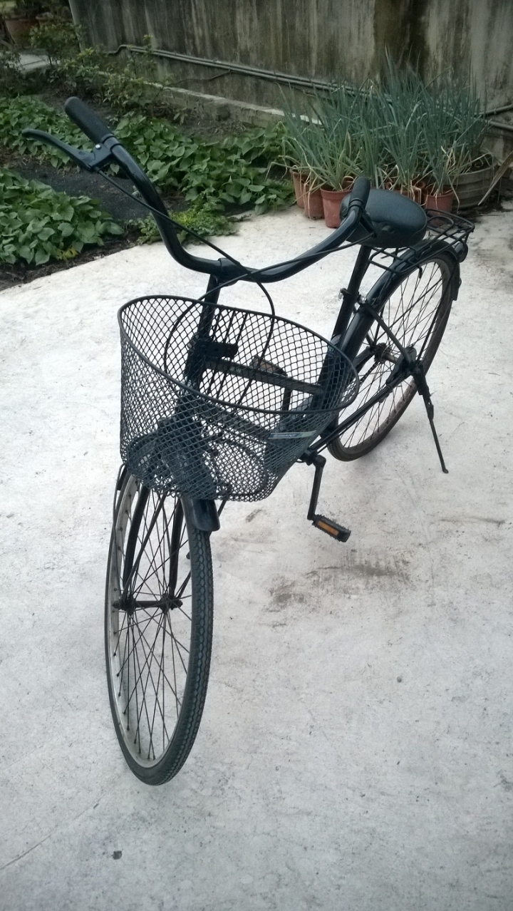 老捷安特 淑女車