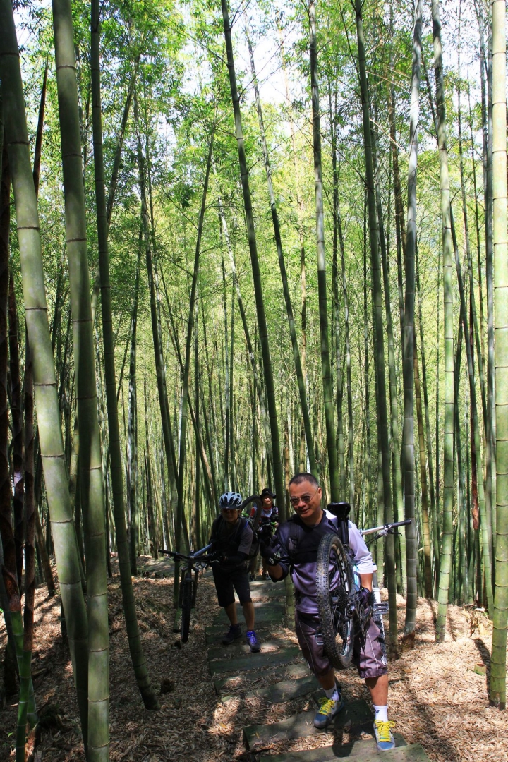 嘉南雲峰下豐山石盤谷單車O型環線