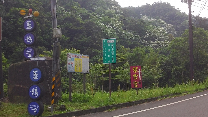 20150501汐平公路桐花滿載