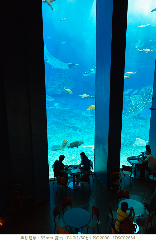 RX1R 沖縄美ら海水族館