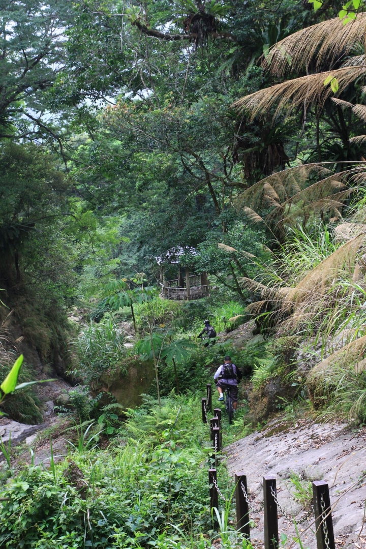 嘉南雲峰下豐山石盤谷單車O型環線