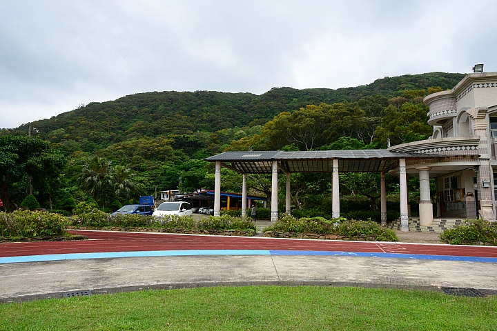 高士國小野牡丹花盛開，歡迎您住宿，一早醒來展開美麗的一天。