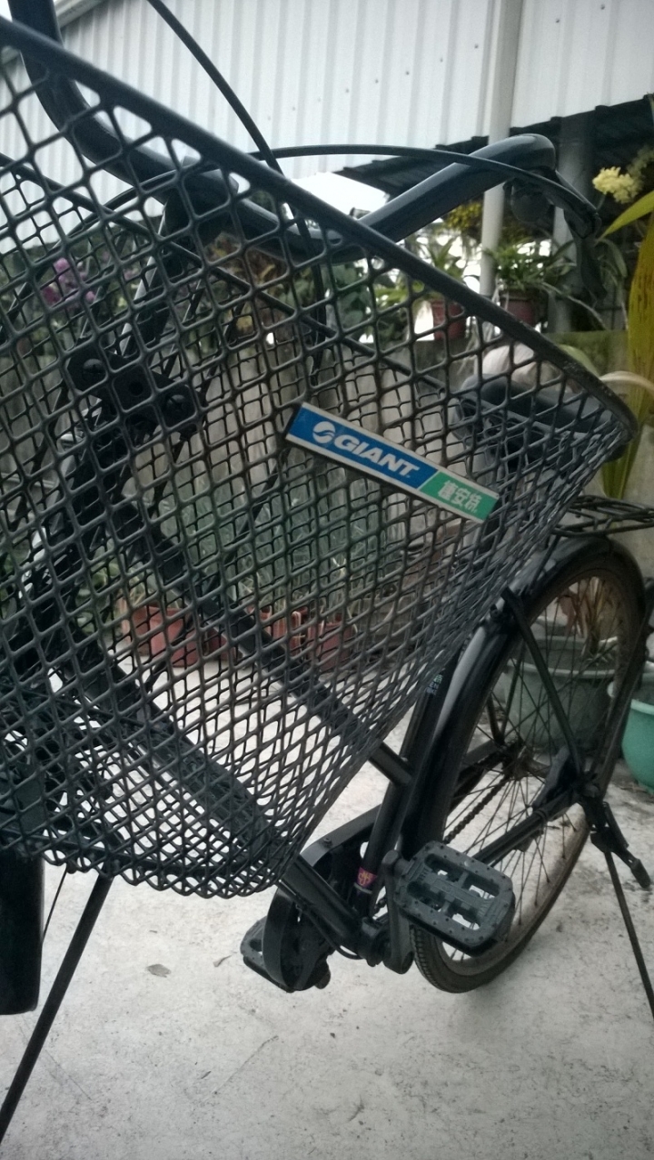 老捷安特 淑女車