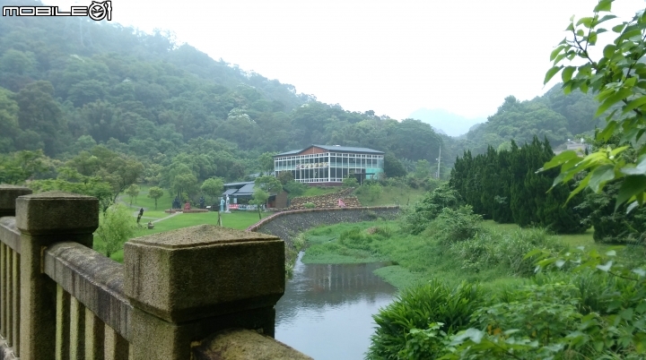桃園阿姆坪.慈湖散步遊
