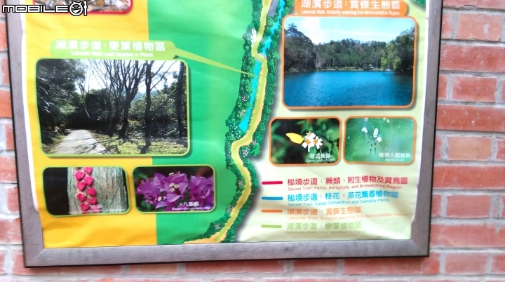 桃園阿姆坪.慈湖散步遊