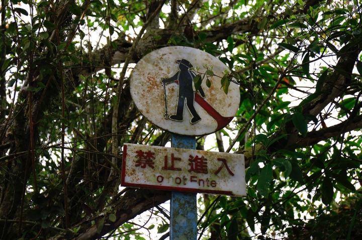 嘉南雲峰下豐山石盤谷單車O型環線